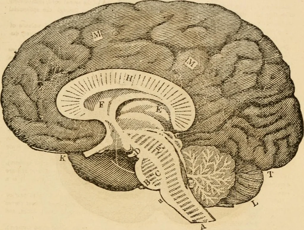 An illustration from Library of mesmerism and psychology, 1871, leaf 804
