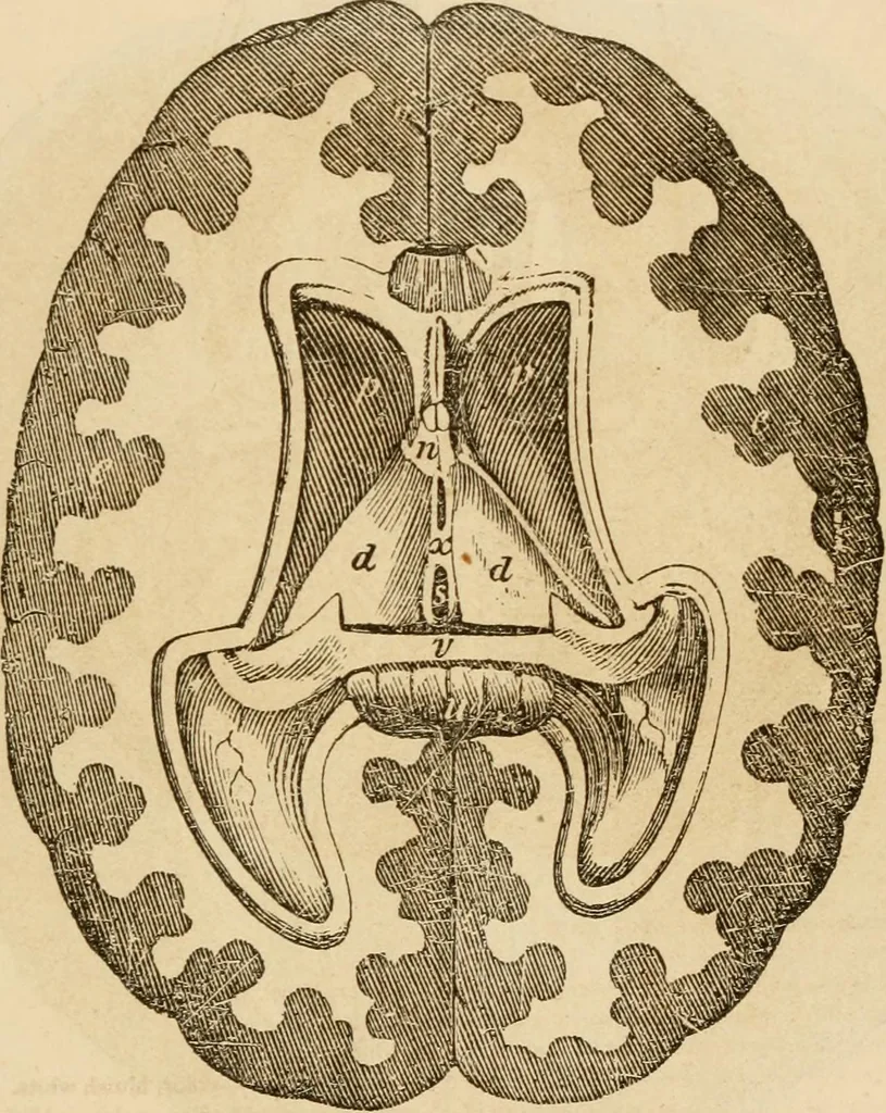 An illustration from Library of mesmerism and psychology, 1871, leaf 806