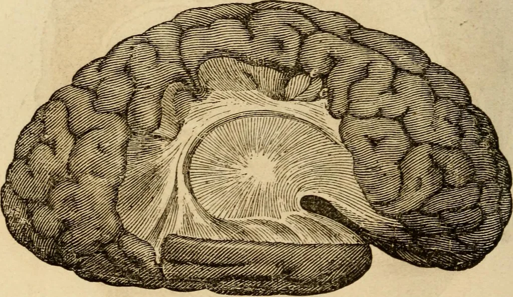 An illustration from Library of mesmerism and psychology, 1871, leaf 809