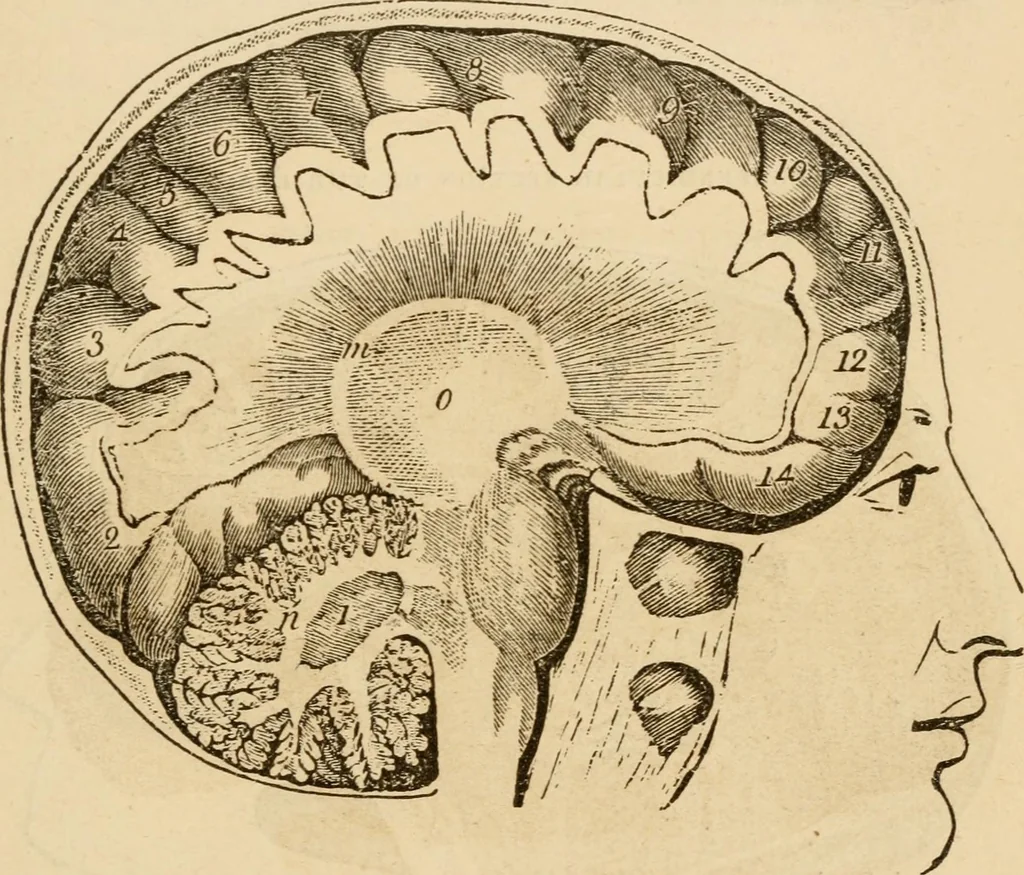 An illustration from Library of mesmerism and psychology, 1871, leaf 810