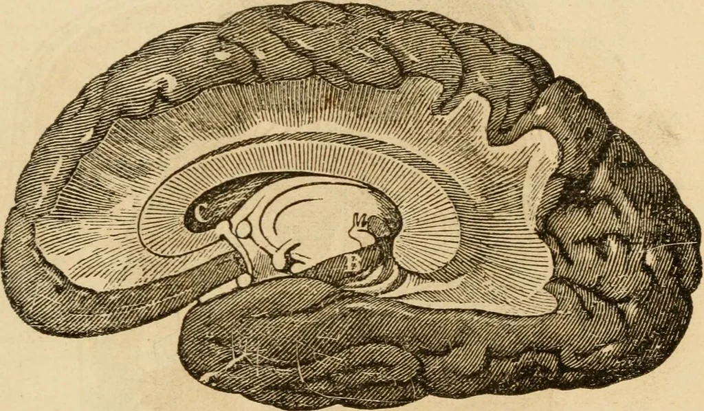 An illustration from Library of mesmerism and psychology, 1871, leaf 812