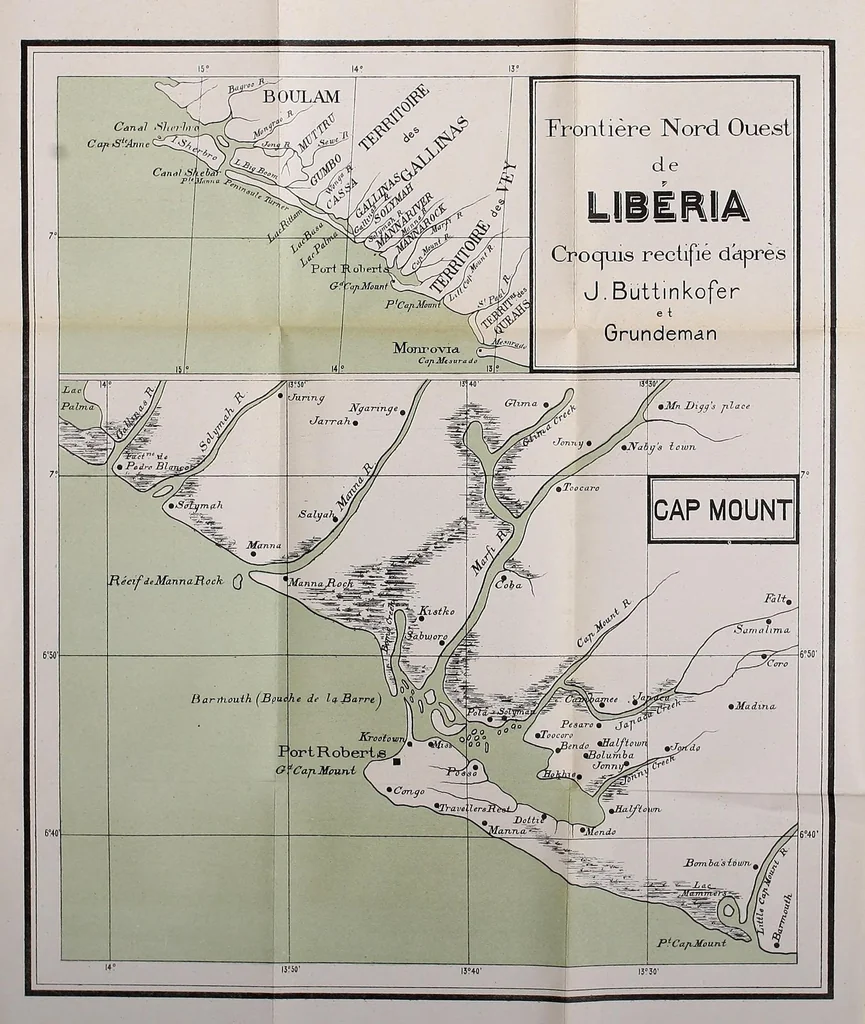 An illustration from Libéria : histoire de la fondation d'un état nègre libre, 1885, leaf 176