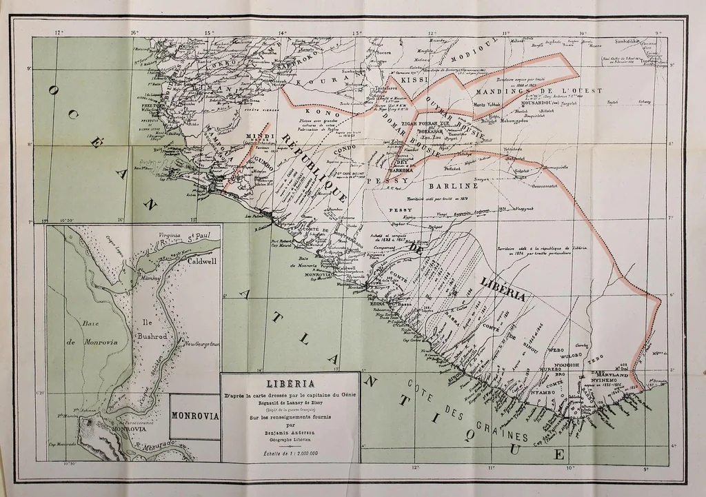 An illustration from Libéria : histoire de la fondation d'un état nègre libre, 1885, leaf 285