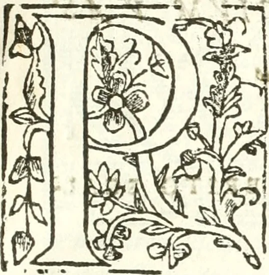 An illustration from Libri quatuor de antiqvitatibvs Lvsitaniae, 1593, leaf 10