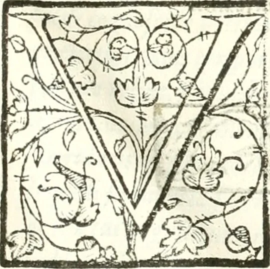 An illustration from Libri quatuor de antiqvitatibvs Lvsitaniae, 1593, leaf 10