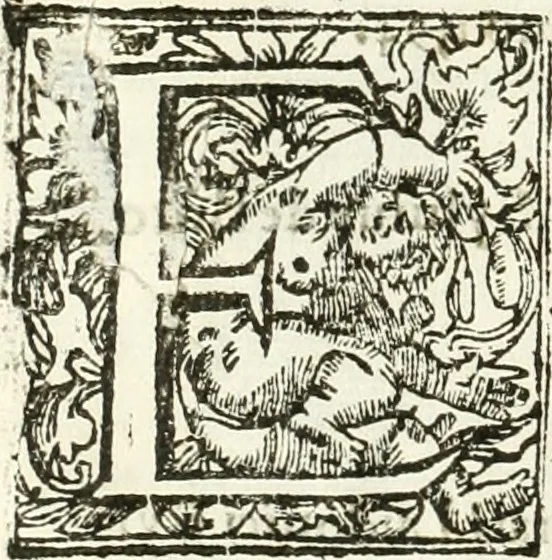 An illustration from Libri quatuor de antiqvitatibvs Lvsitaniae, 1593, leaf 11