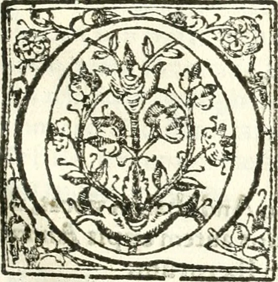 An illustration from Libri quatuor de antiqvitatibvs Lvsitaniae, 1593, leaf 120