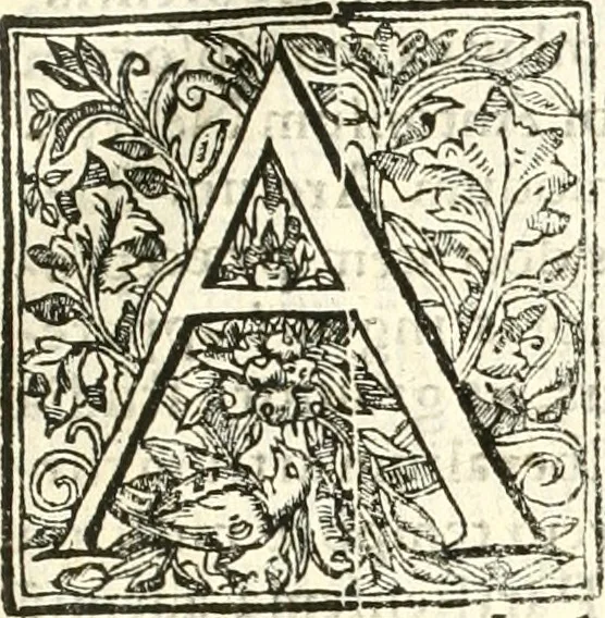 An illustration from Libri quatuor de antiqvitatibvs Lvsitaniae, 1593, leaf 14