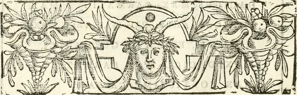 An illustration from Libri quatuor de antiqvitatibvs Lvsitaniae, 1593, leaf 207