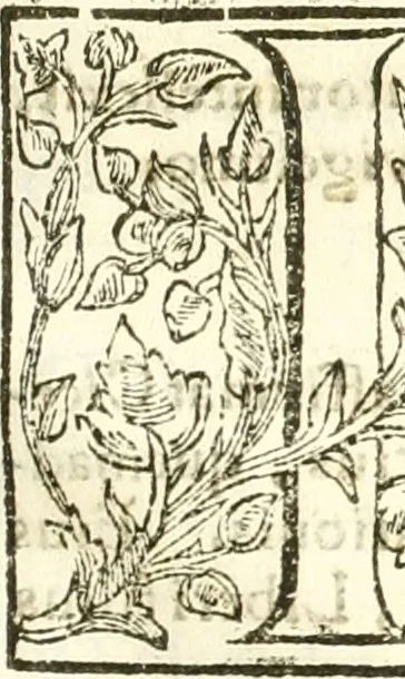 An illustration from Libri quatuor de antiqvitatibvs Lvsitaniae, 1593, leaf 284