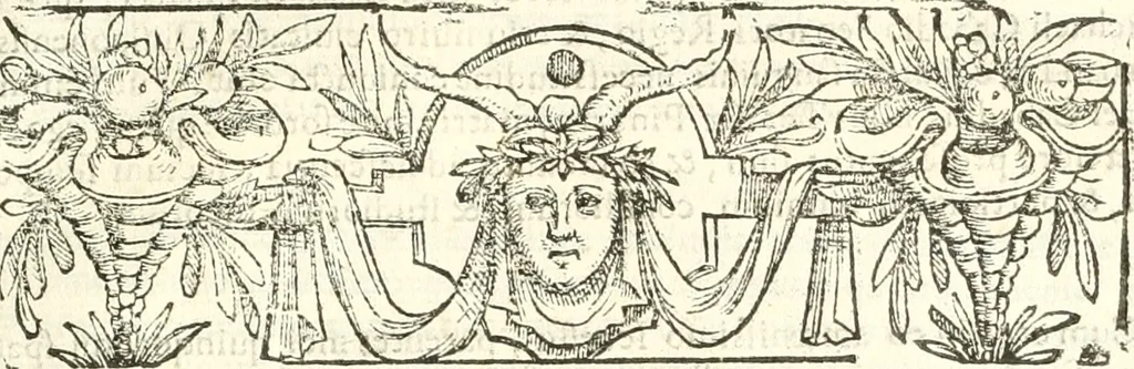 An illustration from Libri quatuor de antiqvitatibvs Lvsitaniae, 1593, leaf 300