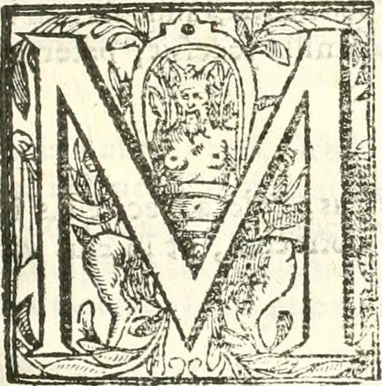 An illustration from Libri quatuor de antiqvitatibvs Lvsitaniae, 1593, leaf 300