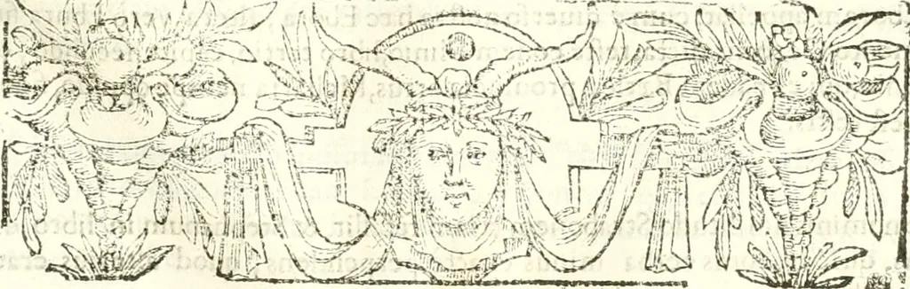 An illustration from Libri quatuor de antiqvitatibvs Lvsitaniae, 1593, leaf 308
