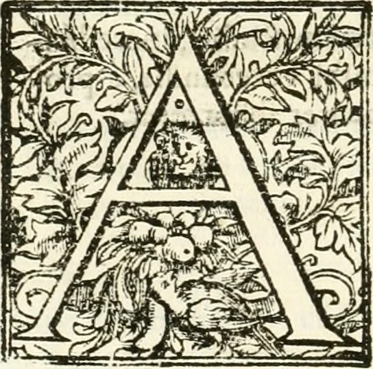 An illustration from Libri quatuor de antiqvitatibvs Lvsitaniae, 1593, leaf 309