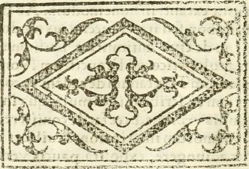 An illustration from Libri quatuor de antiqvitatibvs Lvsitaniae, 1593, leaf 31