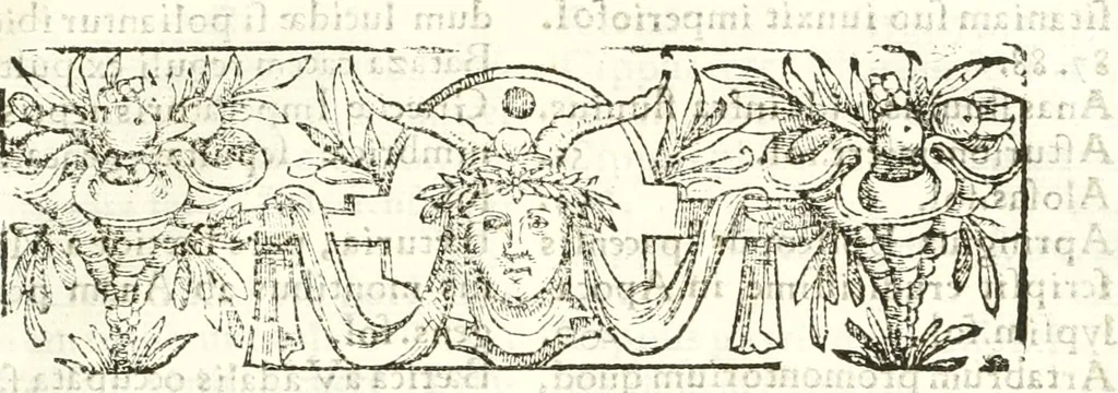 An illustration from Libri quatuor de antiqvitatibvs Lvsitaniae, 1593, leaf 348