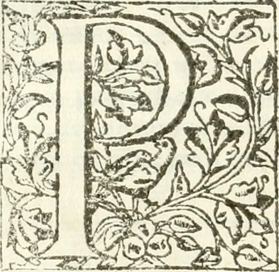 An illustration from Libri quatuor de antiqvitatibvs Lvsitaniae, 1593, leaf 39