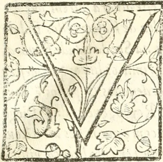 An illustration from Libri quatuor de antiqvitatibvs Lvsitaniae, 1593, leaf 6