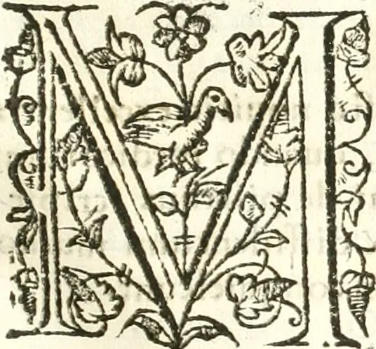 An illustration from Libri quatuor de antiqvitatibvs Lvsitaniae, 1593, leaf 92