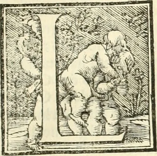 An illustration from Libri qvattro dell'antichita della citta di Roma : raccolte sotto brevita da diversi antichi et moderni scrittori, 1565, leaf 10