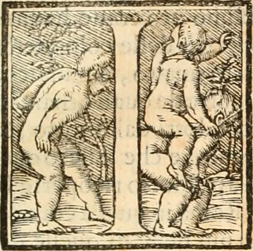 An illustration from Libri qvattro dell'antichita della citta di Roma : raccolte sotto brevita da diversi antichi et moderni scrittori, 1565, leaf 22