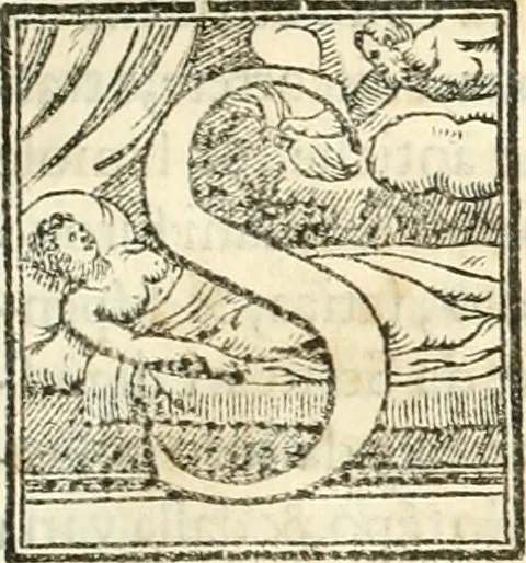 An illustration from Libri qvattro dell'antichita della citta di Roma : raccolte sotto brevita da diversi antichi et moderni scrittori, 1565, leaf 4