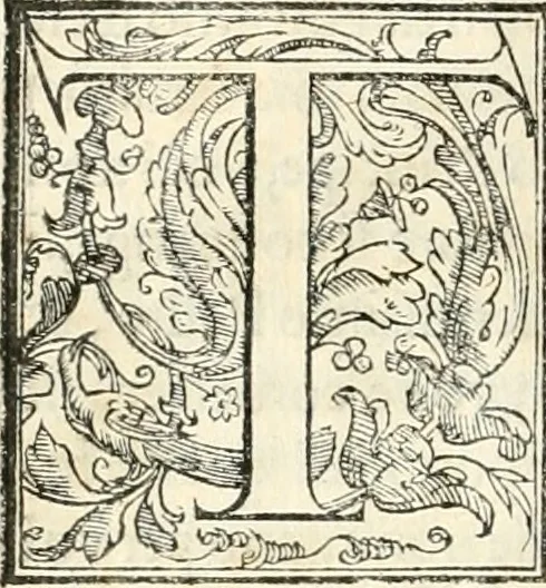 An illustration from Libri qvattro dell'antichita della citta di Roma : raccolte sotto brevita da diversi antichi et moderni scrittori, 1565, leaf 7