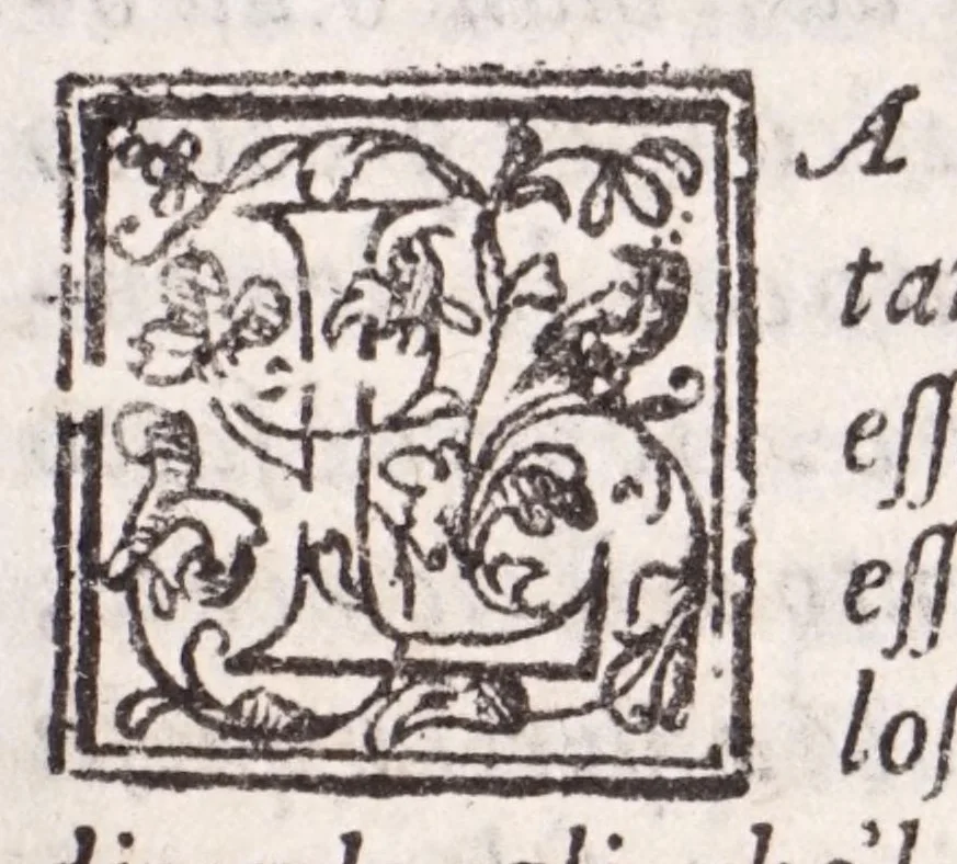 An illustration from Libri tre di m. Lodovico Dolce; ne i qvali si tratta delle diuerse sorti delle gemme, che produce la natura, della qvalità, grandezza, bellezza, & virtù loro, 1565, leaf 27