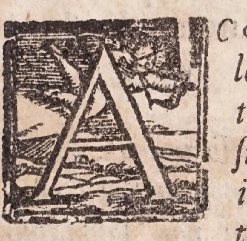 An illustration from Libri tre di m. Lodovico Dolce; ne i qvali si tratta delle diuerse sorti delle gemme, che produce la natura, della qvalità, grandezza, bellezza, & virtù loro, 1565, leaf 47