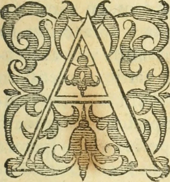 An illustration from Libri tres De indvciis belli Belgici, 1613, leaf 174