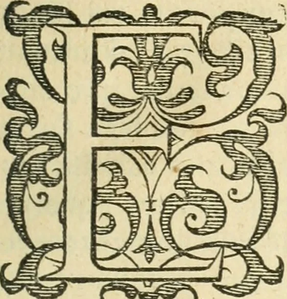 An illustration from Libri tres De indvciis belli Belgici, 1613, leaf 30