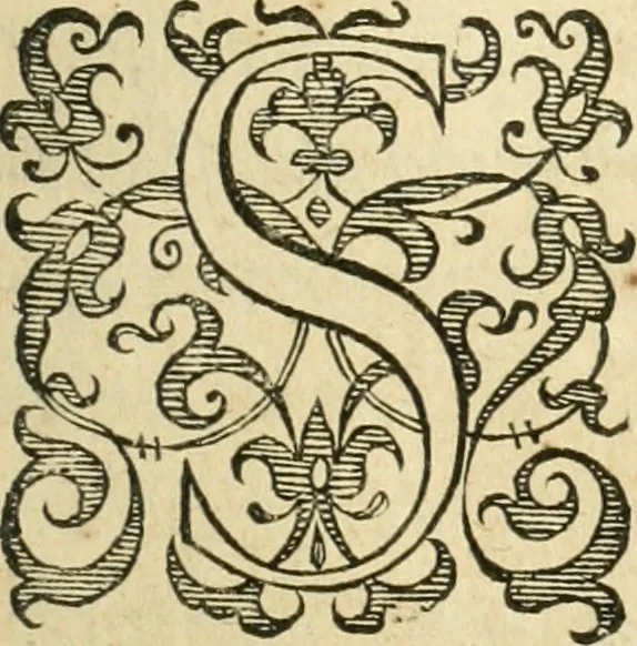An illustration from Libri tres De indvciis belli Belgici, 1613, leaf 4
