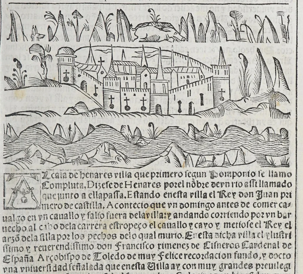 An illustration from Libro de grandezas y cosas memorables de España, 1549, leaf 201