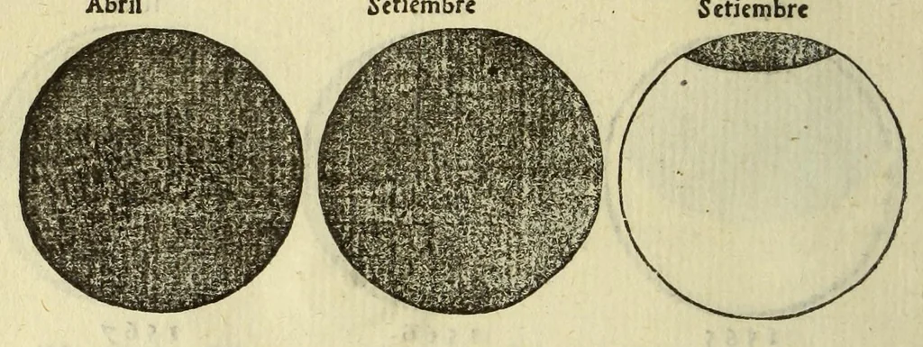 An illustration from Libro de la cosmographia, 1548, leaf 38