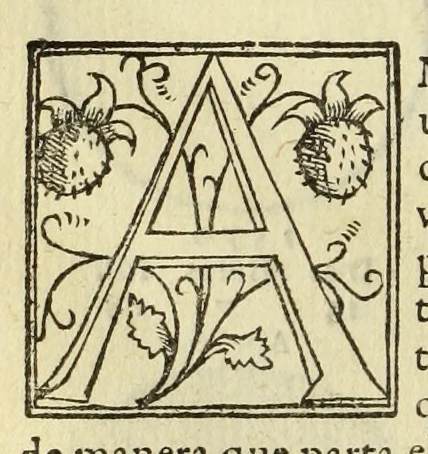 An illustration from Libro de la cosmographia, 1548, leaf 38