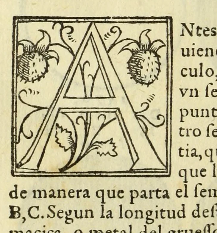 An illustration from Libro de la cosmographia, 1548, leaf 34