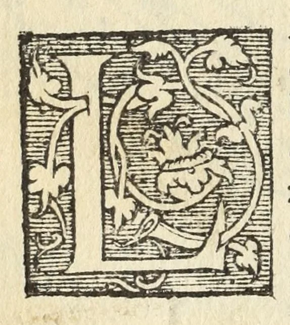 An illustration from Libro de la cosmographia, 1548, leaf 112