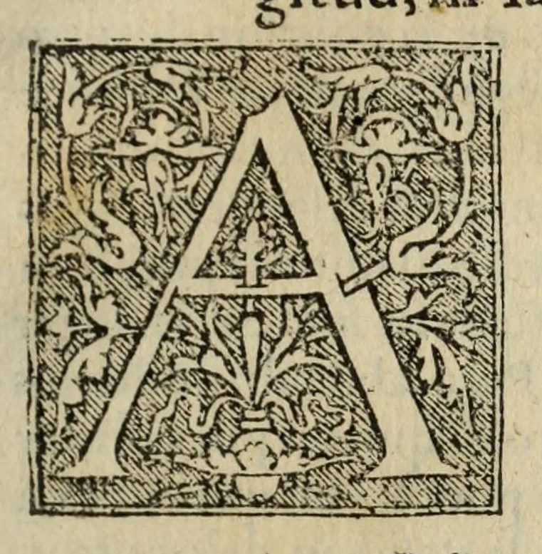 An illustration from Libro de la cosmographia, 1548, leaf 115
