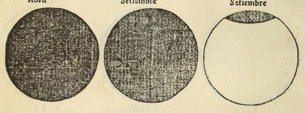 An illustration from Libro de la cosmographia, 1548, leaf 30