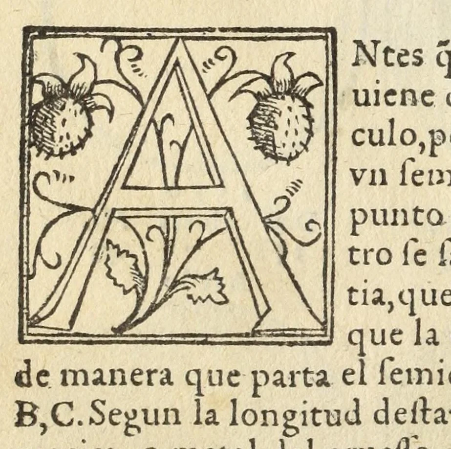 An illustration from Libro de la cosmographia, 1548, leaf 30