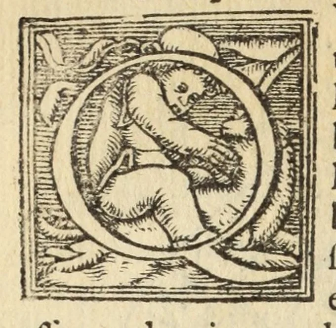 An illustration from Libro de la cosmographia, 1548, leaf 36