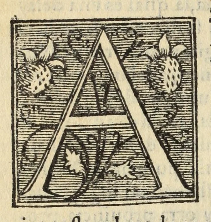 An illustration from Libro de la cosmographia, 1548, leaf 70