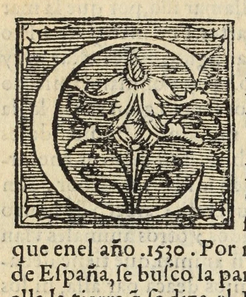 An illustration from Libro de la cosmographia, 1548, leaf 72