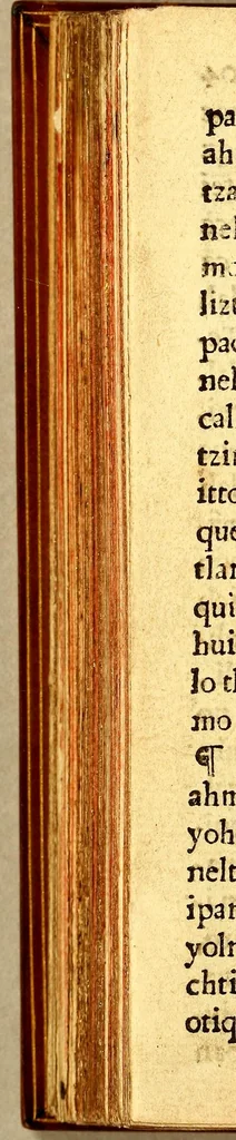 An illustration from Libro dela miseria y breuedad de la vida del hombre : y de sus quatro postrimerias, en lengua mexicana., 1604, leaf 236