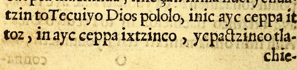 An illustration from Libro dela miseria y breuedad de la vida del hombre : y de sus quatro postrimerias, en lengua mexicana., 1604, leaf 238