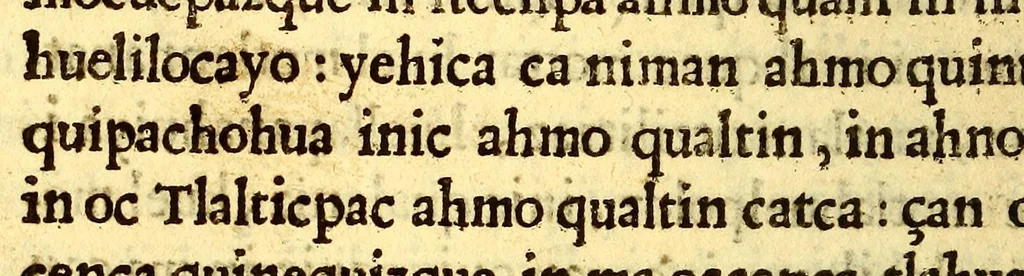 An illustration from Libro dela miseria y breuedad de la vida del hombre : y de sus quatro postrimerias, en lengua mexicana., 1604, leaf 264