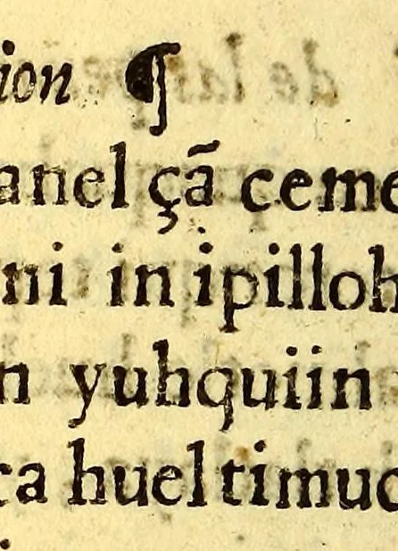 An illustration from Libro dela miseria y breuedad de la vida del hombre : y de sus quatro postrimerias, en lengua mexicana., 1604, leaf 280