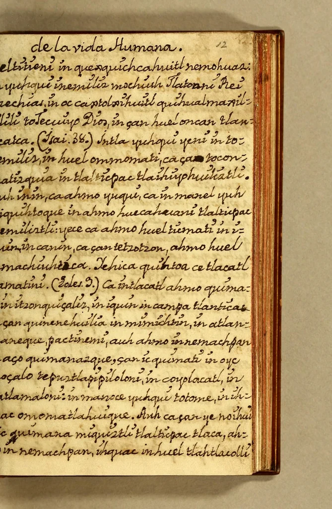 An illustration from Libro dela miseria y breuedad de la vida del hombre : y de sus quatro postrimerias, en lengua mexicana., 1604, leaf 43