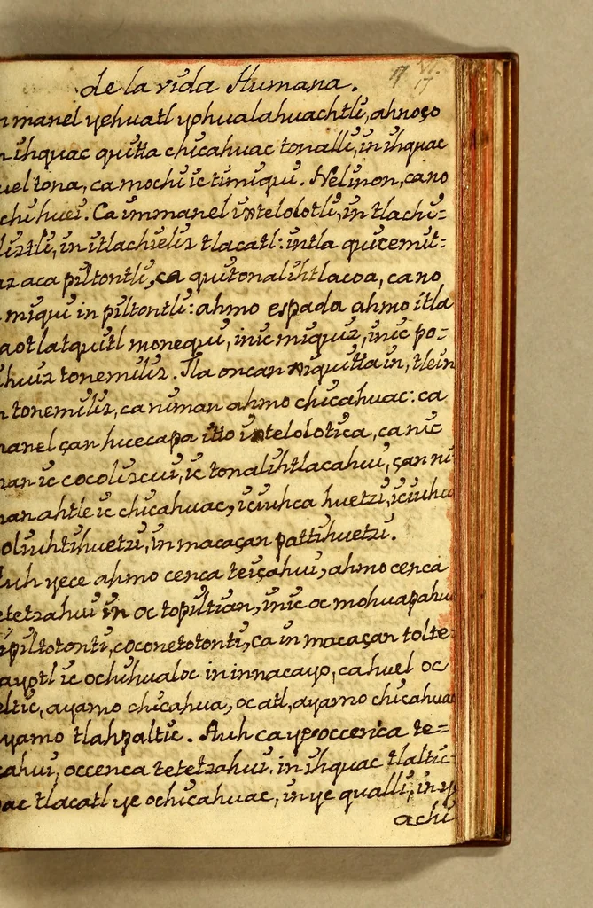 An illustration from Libro dela miseria y breuedad de la vida del hombre : y de sus quatro postrimerias, en lengua mexicana., 1604, leaf 53