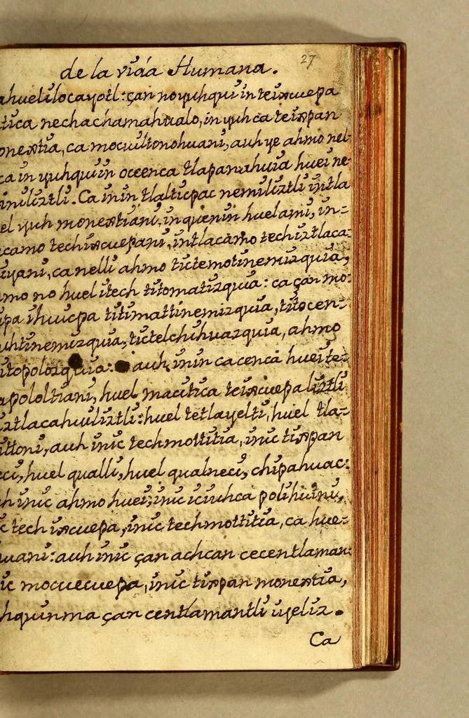 An illustration from Libro dela miseria y breuedad de la vida del hombre : y de sus quatro postrimerias, en lengua mexicana., 1604, leaf 73